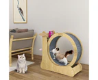 Cat Exercise Wheel Toy Running Exerciser Treadmill Furniture Scratcher Board Roller Play Gym Sports Equipment with Carpet Runway