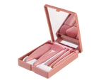 5 Pieces Makeup Brush Set, Mirror Box  Brush Set, Portable Blush Brush, Concealer Brush-