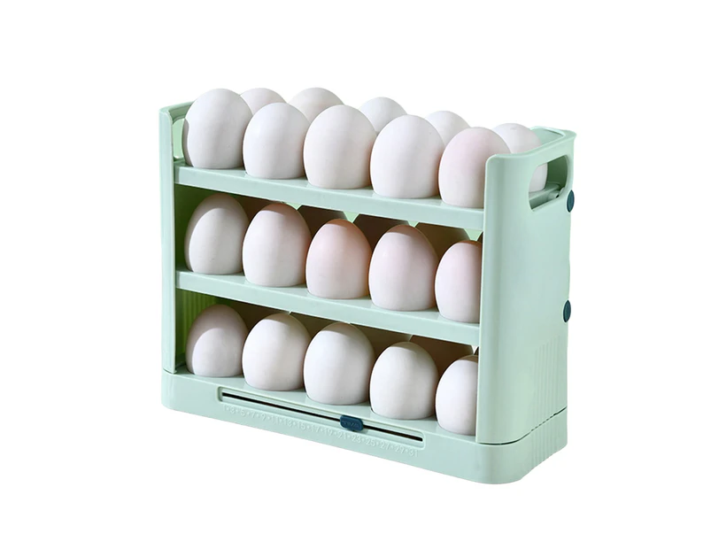 Egg Storage Shelf - Green