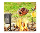 Camping Spit Grill Campfire Bbq outdoor Portable Cooking Fishing Stainless Boat