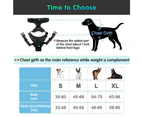 Dog Harness,No-Pull Pet Harness with 1 Leash Clips,Adjustable Soft Padded Dog Vest-Black-XL