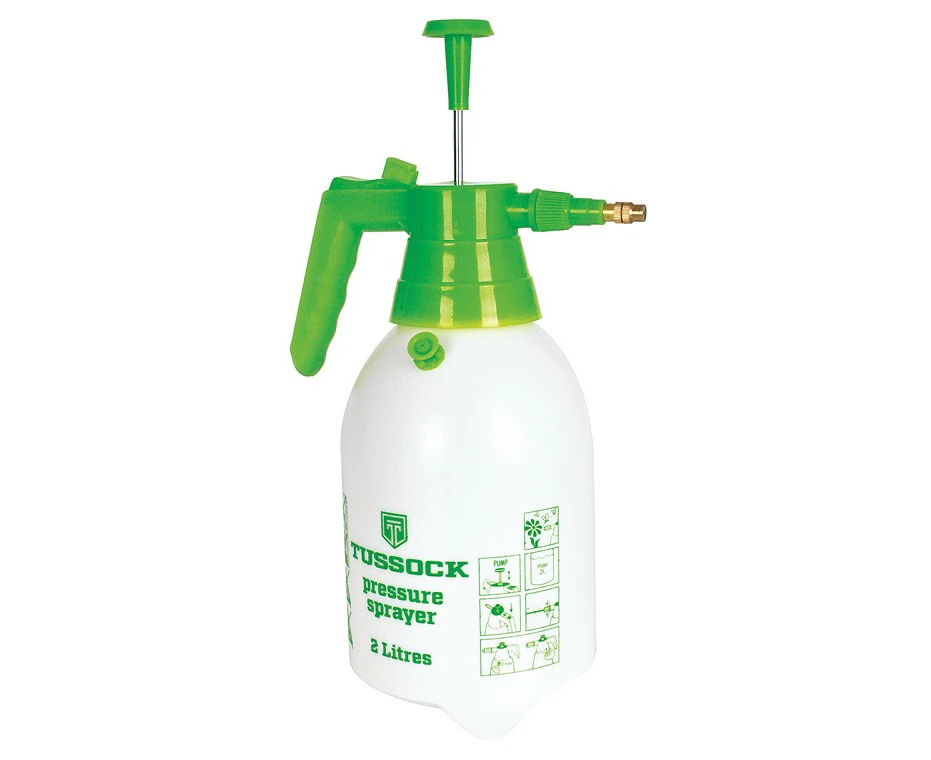 Pressure sprayer w/ release valve, 2l