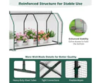 Costway Mini Greenhouse PE Cover Garden Green House w/Roll-Up Zippered Door 121x54x61.5cm