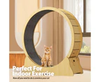 TOPET Cat Exercise Wheel Toy Running Exerciser Treadmill Scratcher Board 87cm