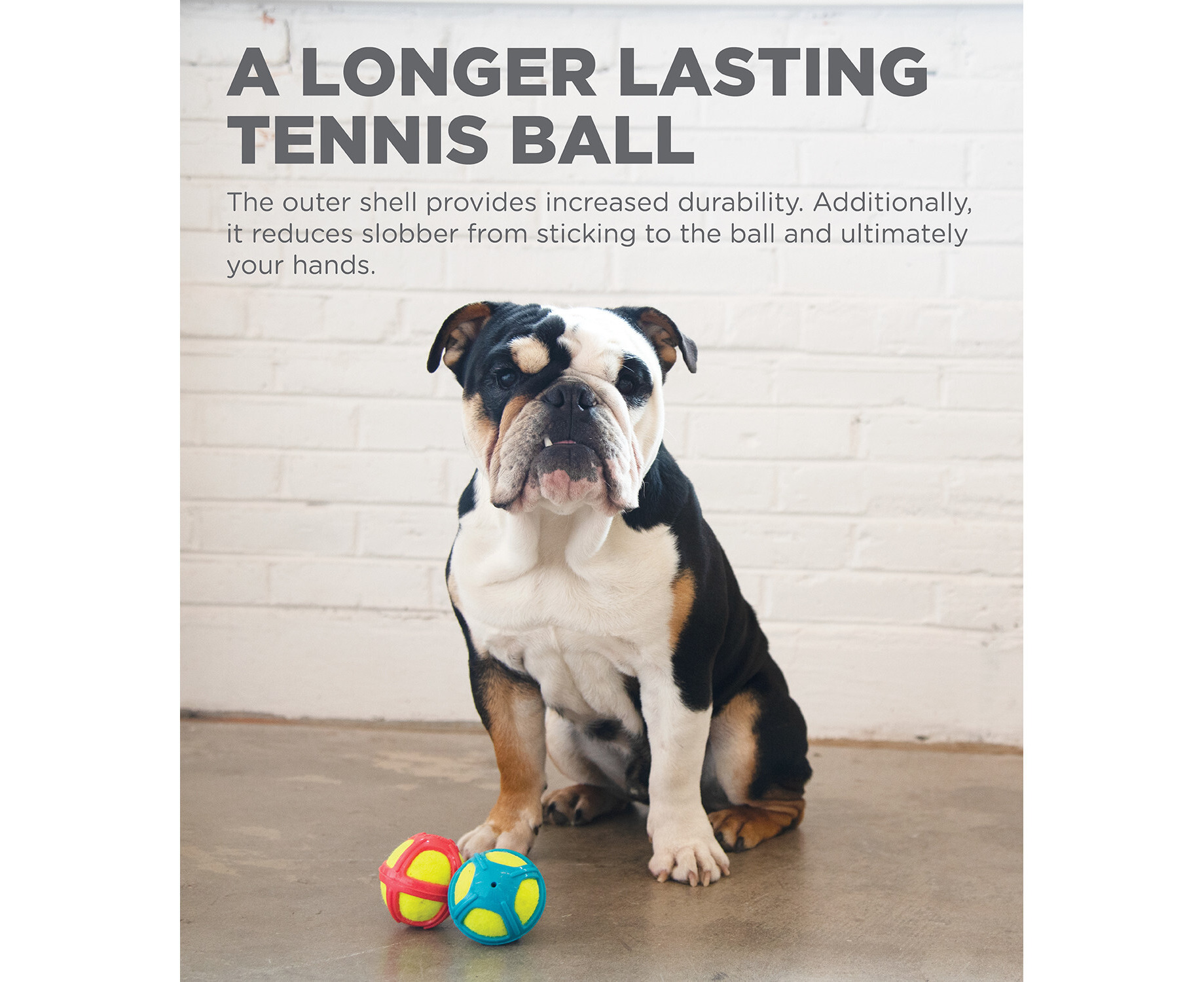 Outward Hound Squeaker Ballz, Tennis Ballz, Tennis Max Balls