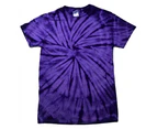 Colortone Childrens Unisex Tonal Spider Short Sleeve T-Shirt (Spider Purple) - RW2624