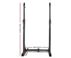 Everfit Weight Bench Adjustable Squat Rack Home Gym Equipment 300kg