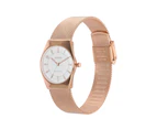 Skagen Grenen Lille Rose Gold Watch SKW3078