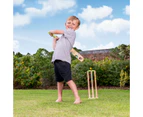 Bluey Wooden Cricket Set