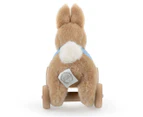 Beatrix Potter Peter Rabbit Pull Along Toy