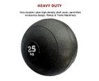 25kg Slam Ball No Bounce Crossfit Fitness MMA Boxing BootCamp