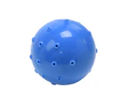 Charlie's Thirst-Quencher Cooling Dog Ball Blue 6.3cm - Blue