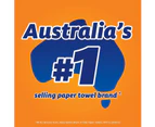 2x Handee Double Length Paper Towel (120 Sheets Per Roll), White (Pack of 4) Equals 8 standard rolls