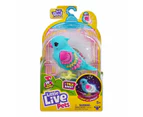 Little Live Pets Lil' Bird Single Pack - Assorted* - Multi