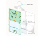 Vivva - Dehumidifier Bag Moisture Absorber Hanging Wardrobe Drying Anti-mold Agent 10PCS(fruit style)