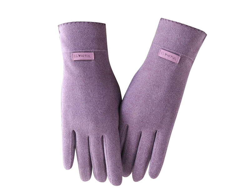 1 Pair Letter Logo Solid Color Korean Style Women Gloves Autumn Winter Fleece Lining Touch Screen Full Finger Driving Gloves-Purple One Size unique value
