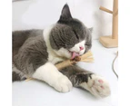 5pcs Natural molar stick cat toy cat chewing toy kitten teeth cleaning edible cat cat toy