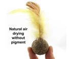 3pcs Catnip Compressed Catnip ball toy with Feather kitten chew toy