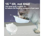 Elevated Cat Bowls, Tilted Raised Cat Food Bowl Anti-Vomiting,Cat Bowls for Protecting Spine style5