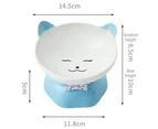 Cat Bowls Ceramic Raised Cat Bowl Tilted Protect Cat's Spine, Stress Free, Prevent Vomiting style5