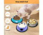 3pcs Cat Bowl Pet Bowl Stainless Steel Cat Food Water Bowl with Non-Slip Rubber Base style5