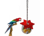 Pet Bird Parrot Feeding Device Play Interactive Training Toy Hanging Food Box-Random Color unique value
