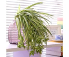 2 Pack Artificial Flowers Spider Plants Fake Silk Plant Faux Greenery Artificial Plants Home Wall Indoor Outdside(Not Include Hanging Basket)