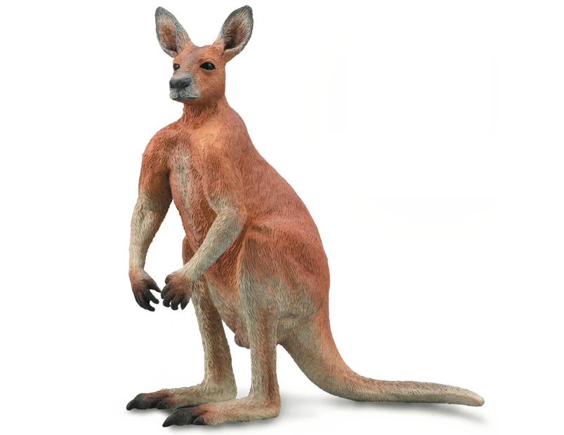 Collecta Red Kangaroo Male