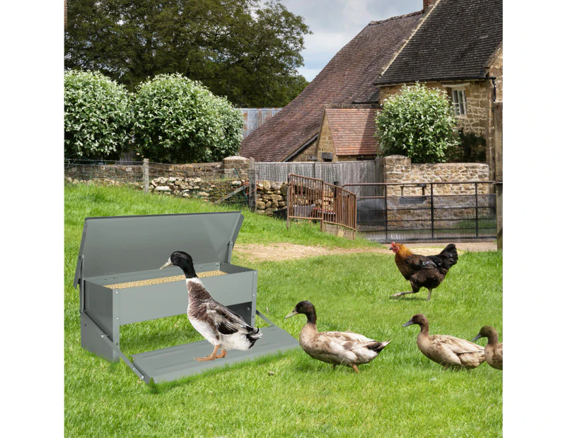 Pawz 5KG Auto Automatic Chicken Feeder Galvanized Poultry Chook Treadle