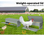 Pawz 5KG Auto Automatic Chicken Feeder Galvanized Poultry Chook Treadle