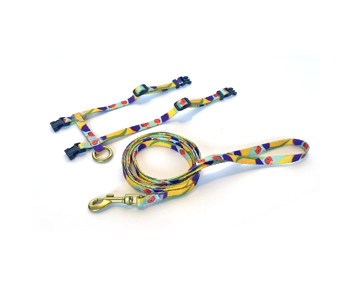 Anipal Gigi the Gouldian Finch Cat Harness & Lead - XS - Environmental Friendly