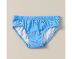 Target 5 Pack Essentials Briefs - Blue