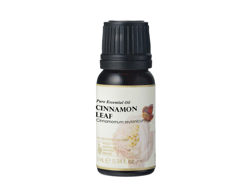 Ausganica Organic Essential Oil Cinnamon Leaf 10ml