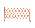 vidaXL Garden Trellis Fence Orange 150x80 cm Solid Firwood