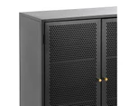 Mesh Black 2 Door Steel Low Storage Cabinet