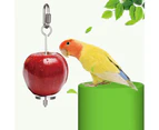 2Pcs Bird Feeder for Cage, Stainless Steel Bird Food Holder, Small Animal Fruit Vegetable Stick Skewer, Hanging Food Feeding Treating Tool