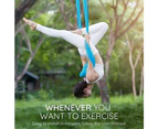 Yoga Hammock, Aerial Yoga Swing, Yoga Hammock Trapeze Yoga Kit for Antigravity Yoga Inversion with 2 Extension Straps