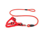 Pet Dog Collar Lead Training Leash Safety Collars S M L Halter Nylon - Red