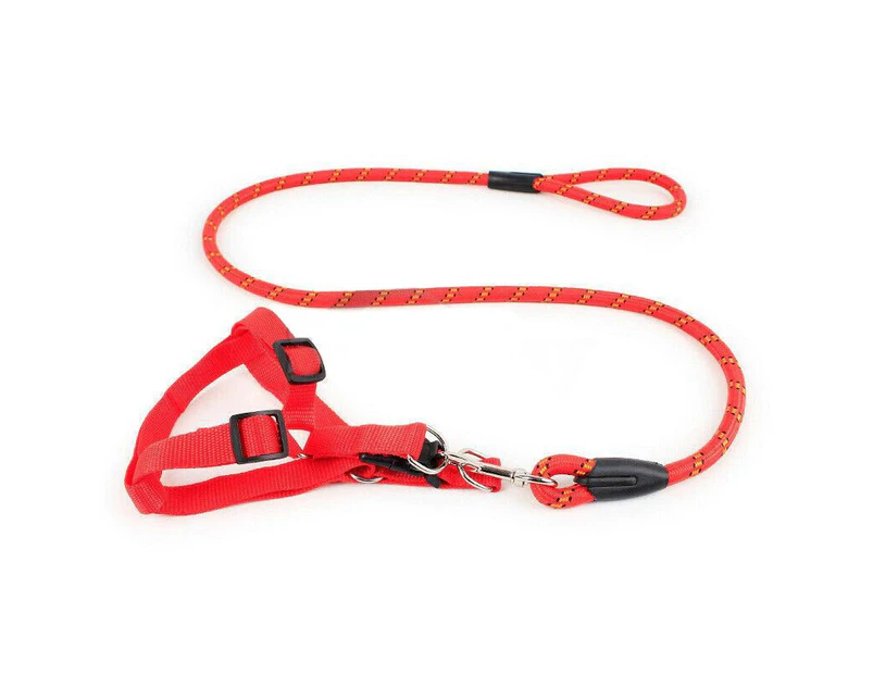 Pet Dog Collar Lead Training Leash Safety Collars S M L Halter Nylon - Red