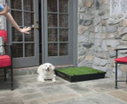 PetSafe Large Pet Loo & Grass Mat
