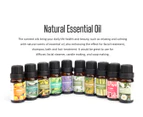 2pk Pure Essential Oils 10ml (Sydney Stock) Natural Water Soluble Aromatherapy Oil Peppermint