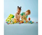 LEGO® DUPLO Deluxe Brick Box 10914 - Multi