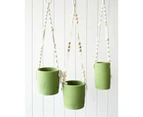 Rayell Large Lacey Hanging Pot/Planter Home Decor/Display Green 10x18.5x10cm