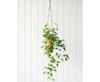 Rayell Large Lacey Hanging Pot/Planter Home Decor/Display Mustard 10x18.5x10cm