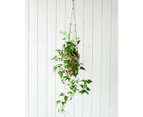 Rayell Large Lacey Hanging Pot/Planter Home Decor/Display Burnt PNK 10x18.5x10cm