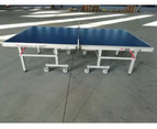 Double Fish 25mm Top Table Tennis Table ITTF APPROVED