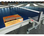 Double Fish 25mm Top Table Tennis Table ITTF APPROVED