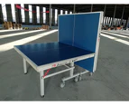 Double Fish 25mm Top Table Tennis Table ITTF APPROVED