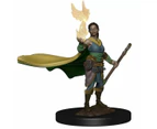 Dungeons & Dragons - Premium Painted Figures Elf Female Druid
