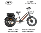 48V 750W Bafang Motor 3 Wheel Electric Tricycle 7 Speeds Shimano Fat Tyre Kenda